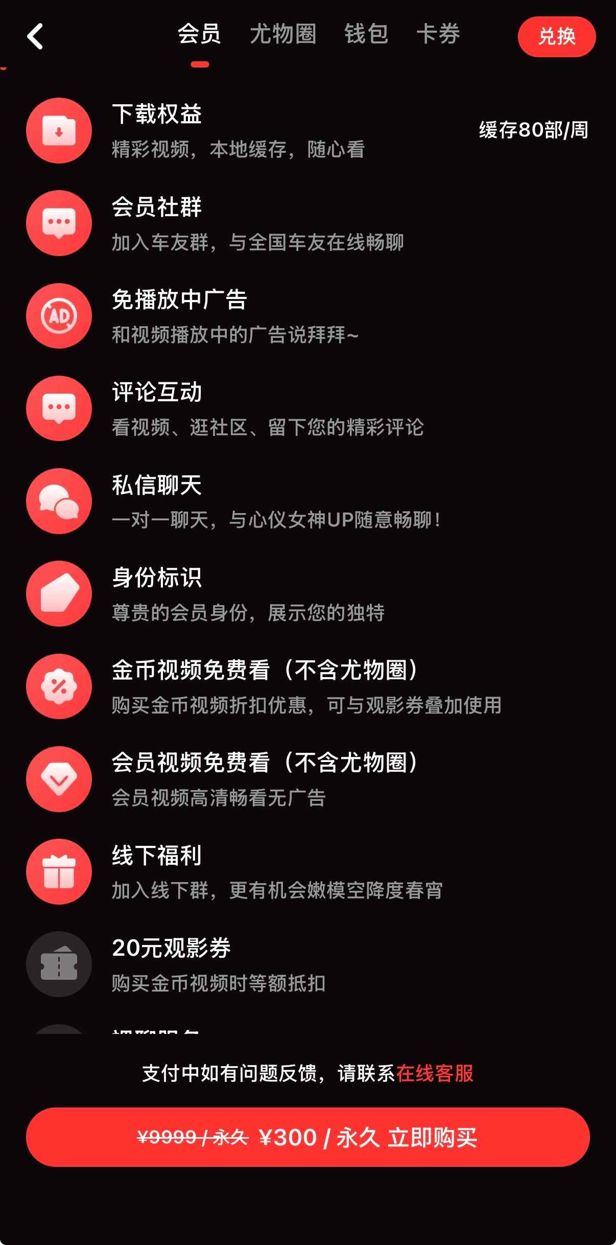 香蕉视频会员300元套餐界面
